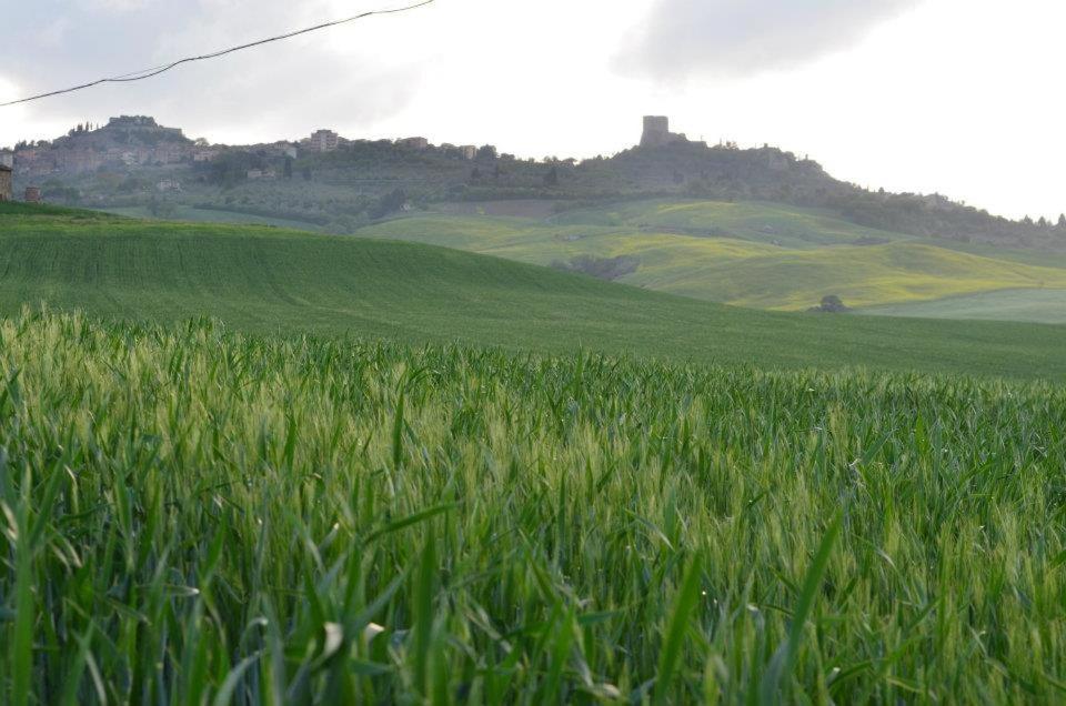 Val D'Orcia Nel Borgo Apartment Castiglione d'Orcia Exterior photo