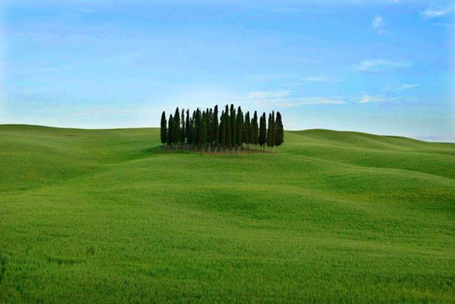 Val D'Orcia Nel Borgo Apartment Castiglione d'Orcia Exterior photo